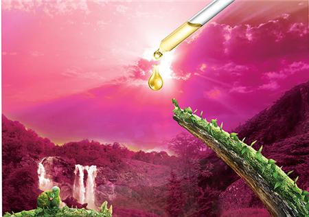 液体粉末到台湾快递 液体粉末到台湾快递